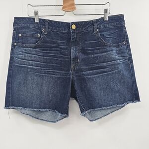 American Eagle Jean Shorts Size 18
